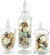 Apothecary Jar Set, Wedding Candy Buffet Containers