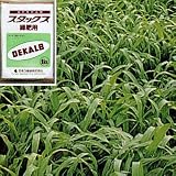 スダックス緑肥用（農業用ソルゴー） 1kg[4～8月まき][タネ][緑肥作物、線虫抑制や土壌の硬盤破砕、除塩、防風]