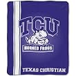Texas Christian Horned Frogs NCAA Royal Plush Raschel Blanket (Jersey Mesh Series) (50x60")"