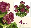 FOUR 20" Artificial Geranium Flower Bushes in Magenta for Home, Garden Decoration