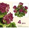 FOUR 20" Artificial Geranium Flower Bushes in Magenta for Home, Garden Decoration