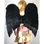 Extra Large Black Feather Angel Wings w/ FREE HALO for adults women men