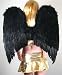 Extra Large Black Feather Angel Wings w/ FREE HALO for adults women men