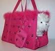 Fully Enclosed Pet Carrier - Paw Print with Boa - Raspberry