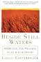 Beside Still Waters: Searching for Meaning in an Age of Doubt
