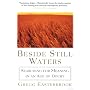 Beside Still Waters: Searching for Meaning in an Age of Doubt