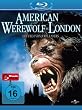American Werewolf in London [Blu-ray]