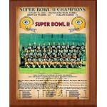 Cherry 11x13 1967 Green Bay Packers Super Bowl Championship Team Photo Plaque