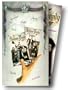 Addams Family / Addams Family Values [VHS]