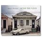 Robert Polidori: After the Flood