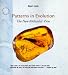 Patterns in Evolution: The New Molecular View (Scientific American Library)