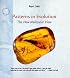Patterns in Evolution: The New Molecular View (