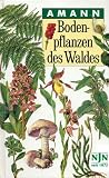 Bodenpflanzen des Waldes: Taschenbildbuch der beachtenswertesten Pilze, Flechten, Moose, Farnpflanzen, Gr�ser und Kr�uter des mitteleurop�ischen Waldes, mit Textteil �ber deren Bau und Leben - Gottfried Amann