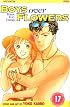Boys Over Flowers, Volume 17 (Boys Over Flowers)