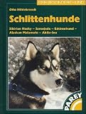 Schlittenhunde Sibirian Husky - Samojede - Eskimohund - Alaskan Malamute - Akit