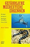 Gef�hrliche Meerestiere erkennen