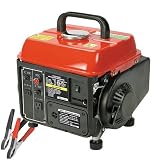 1000W Factory Gas Generator