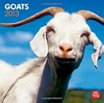 Goats 2013 Square 12X12 Wall Calendar