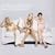 Someone Like Me / Right Now 2004 [CD 1]