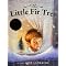 First Grade Literature Read-Alouds, MODG syllabus 2007 (partial list)