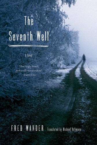 the seventh well a novel