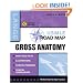 USMLE Road Map: Gross Anatomy (LANGE USMLE Road Maps)