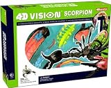 4d Vision Scorpion Anatomy Model Kit