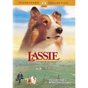 Purebredbreeders.com Reviews Lassie Purebredbreeders.com Reviews Lassie