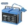 Peg Perego Battery 12 Volt (Drop Ship Pack)