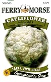 Ferry-Morse Seeds 1259 Cauliflower - Early Snowball 540 Milligram Packet