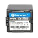 Blumax Akku f�r Panasonic VW-VBG260 / SDR-H50 / SDR-H80 / SDR-H90 / VDR-D50 / VDR- D310 / VDR-D85GK u. a.