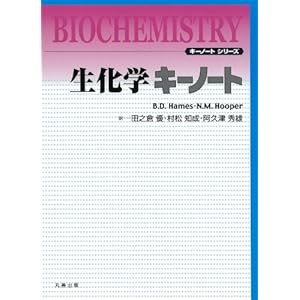 �����w�L�[�m�[�g (�L�[�m�[�g�V���[�Y)