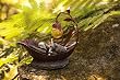 "Dreamer" Solar Fairy Statuary "Dreamer" Solar Fairy Statuary