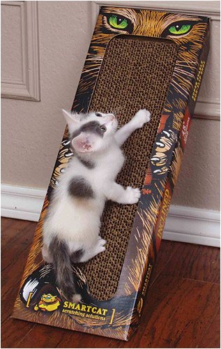 Childrens Toyshop  Pet Supplies : Inclined to Scratch Ramp - Cat Scratcher