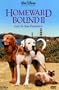 Homeward Bound II: Lost in San Francisco