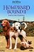 Homeward Bound II: Lost in San Francisco [Region 2]