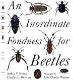 An Inordinate Fondness for Beetles