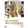 Un animal, des animaux