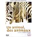 Un animal, des animaux
