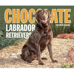Chocolate Labrador Retrievers Boxed Calendar: 2004