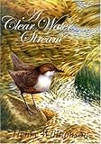 A clear water stream