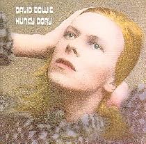 Hunky Dory