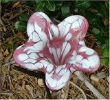 Pink Hand Blown Glass Hummingbird/Butterfly Feeder with Wrought Iron Garden