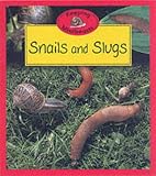 Snails and Slugs (Keeping Minibeasts)