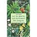Tout savoir sur les plantes qui deviennent des drogues : pavots, coca, cannabis, champignons hallucinog�nes