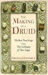 The Making of a Druid: Hidden Teachings from <I>The Colloquy of Two Sages</I>