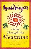 Living Through the Meantime : Learning to Break the Patterns of the Past and Begin the Healing Process