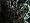 Resident Evil Outbreak (PS2)