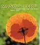 Sanctuary: Gardening for the Soul
