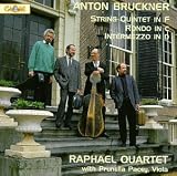Anton Bruckner: String Quintet in F; Rondo in c; Intermezzo in d ( Audio CD ) - B0000044O5